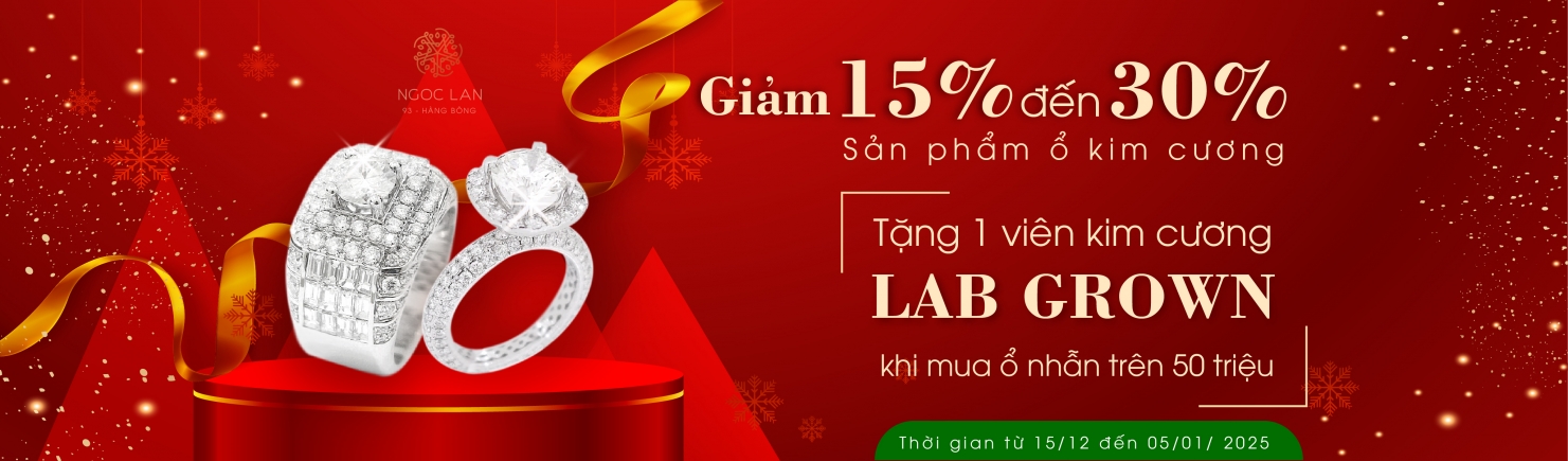 khuyến mại Noel 2024