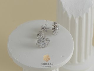 HOA TAI KIM CƯƠNG THIÊN NHIÊN HK903